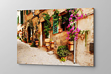 Obraz Kvety na stene zs1125